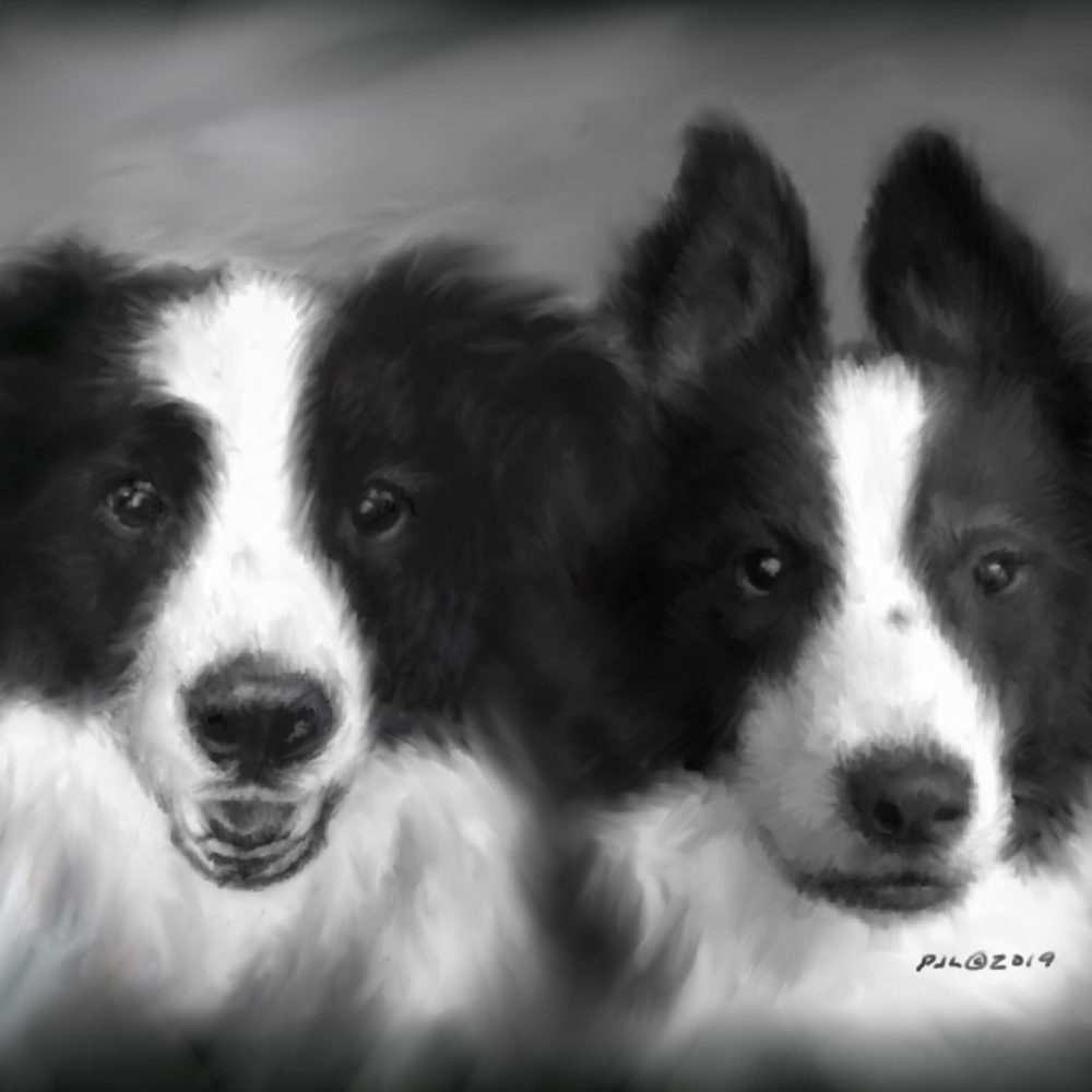 Meet your Posher, Lucky Luca's